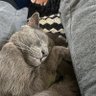 Tina profil fotoğrafı