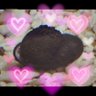 青乃6954 深海三姉妹 profil fotoğrafı