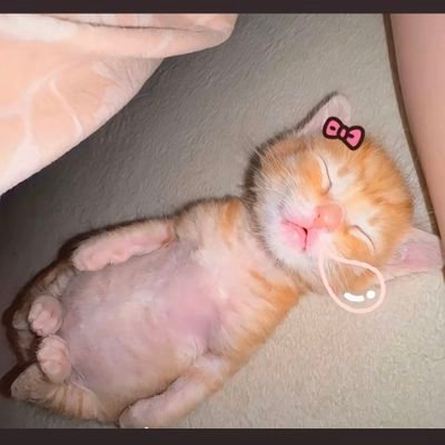 DIdysi's profile picture