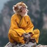 ஒண்டிக்கட்டை's profile picture