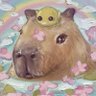 capibara's profile picture