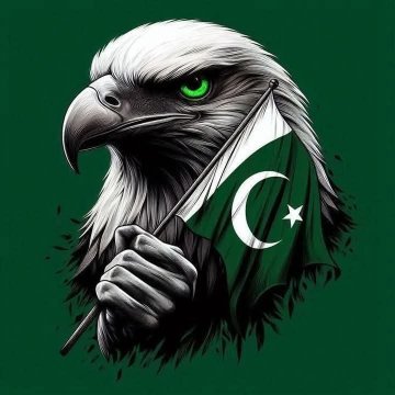 سالار's profile picture