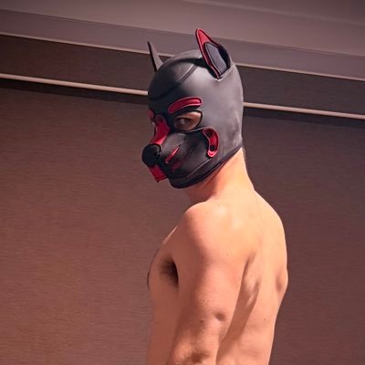 FFpup27's profile picture