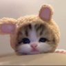 Nehir's profile picture