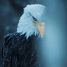 US's profile picture