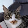 Profilbild von amami