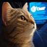 ⁦⁦♦️⁩Cat GPT🇮🇷's profile picture