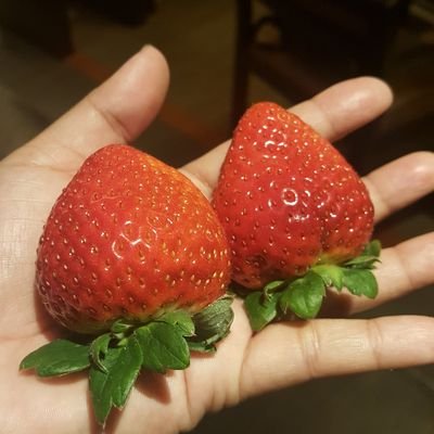 KOKSW69's profile picture