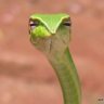 Juan Todd's profile picture
