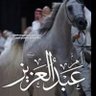 Profilbild von ام عبد العزيز 💛💙🇸🇦(( بغلفيه))