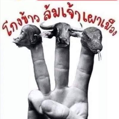 chtipnkel1's profile picture