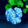 ْ鬱 profil fotoğrafı