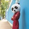 Analista de Tudo's profile picture
