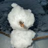Suzanne McKissick's profile picture