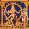 Shivalayas's profile picture