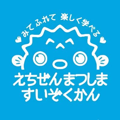 echiaqua's profile picture