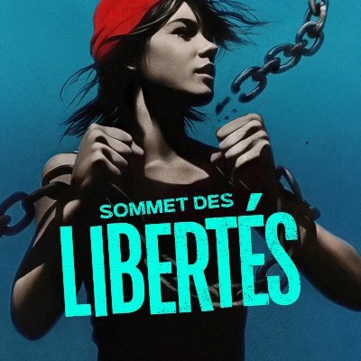 Le Sommet des Libertés's profile picture