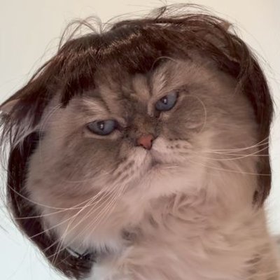 Kusajishi_1's profile picture