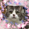 Profilbild von ユウねこ