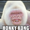 Honky Kong 的头像