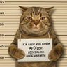Der Arbeiter's profile picture