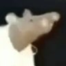 Caça-Rato Comedora de Saci 🧕 profil fotoğrafı