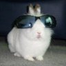 Profilbild von titti