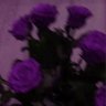 keyna.S's profile picture