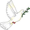 Francesc Esquerra ๐ป's profile picture