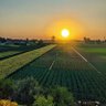 ابواسكندر بعشق الانثي profil fotoğrafı