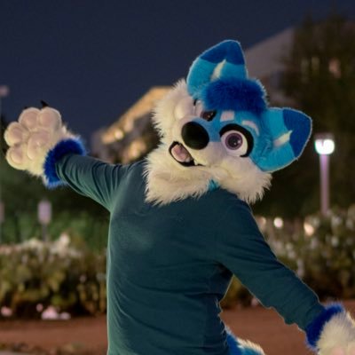 CometTravapaw's profile picture
