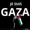 Lotfi Iftol's profile picture