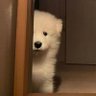 nini 🫧 的头像