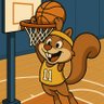 Squirrel🐿️Sports 的头像