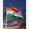 The Voice of INDIA's profile picture