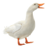 Profilbild von sxeyos