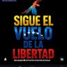 NUEVAOPORTUNIDAD's profile picture