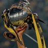 Adam مدريد🌕🤍's profile picture