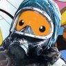 Canal 5's profile picture