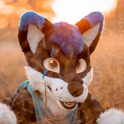 VlaceK's profile picture