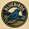 Cardiff City Fan 的头像