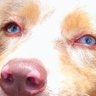 moc -osito's profile picture