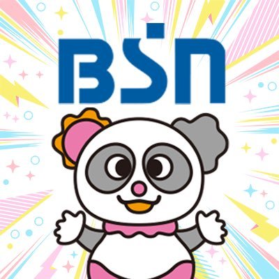 BSNテレビ 〈新潟放送〉's profile picture