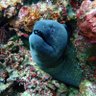 Фото профиля In the ocean