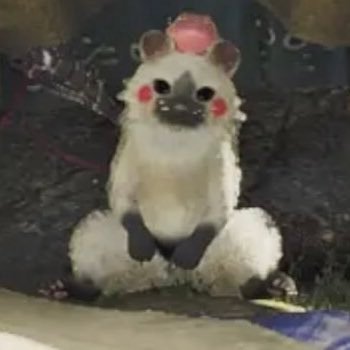 LimoneCaffe's profile picture