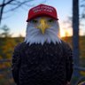 Sean Hill profil fotoğrafı