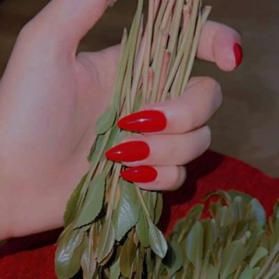 صنعانية قمر💕's profile picture