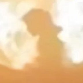 TransAwakening's profile picture