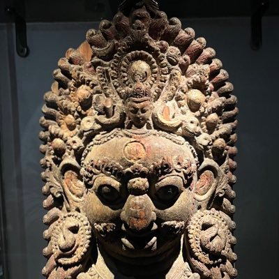 Harshil (હર્ષિલ)'s profile picture