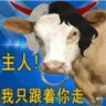Tokkot 的头像